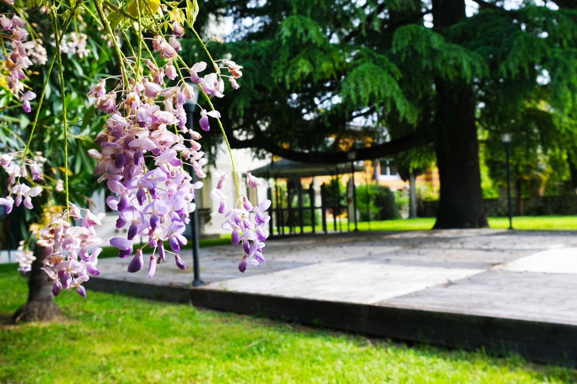 Hotel Villa Ca Damiani Caneva Buitenkant foto